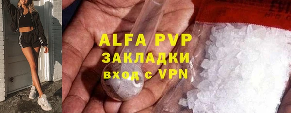 прущие грибы Беломорск