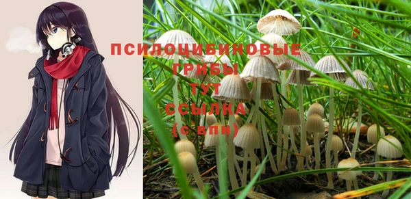 стаф Белоозёрский