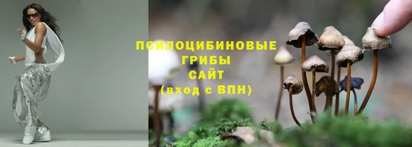 стаф Белоозёрский