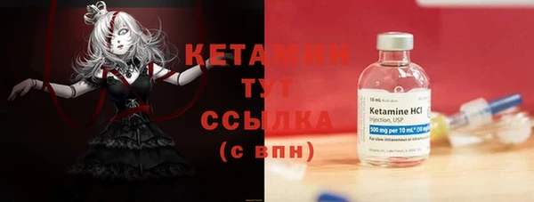 прущие грибы Беломорск