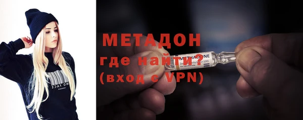 прущие грибы Беломорск