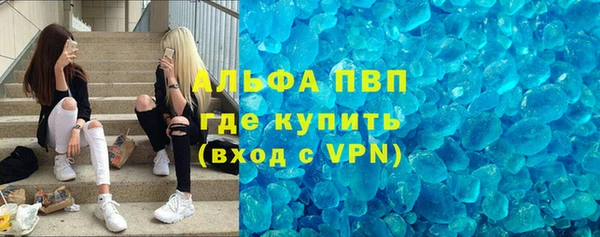 прущие грибы Беломорск