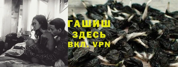 прущие грибы Беломорск