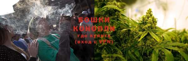 стаф Белоозёрский